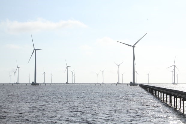 Dây cáp điện cho dự án điện gió